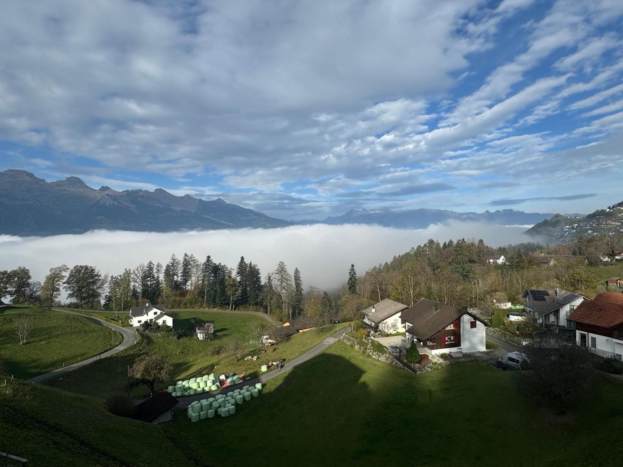 Alpenhaus, Farmhouse Apartamento Triesenberg Exterior foto